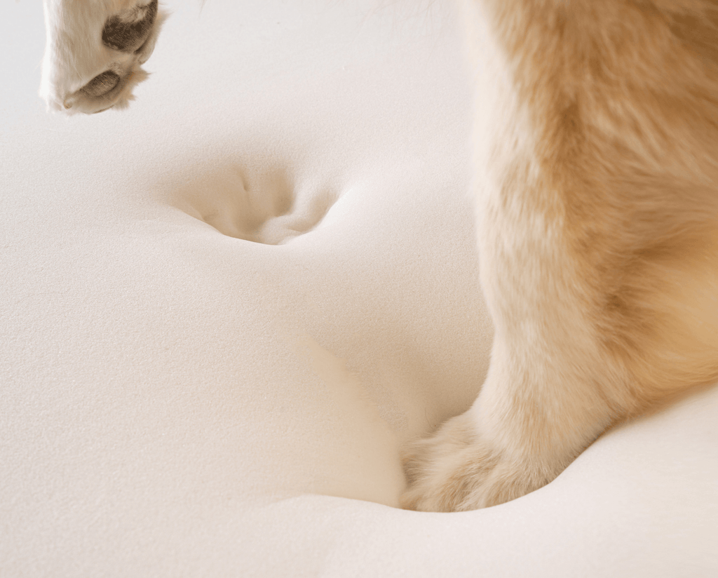 PupRug by Paw.com® Faux Fur Orthopedic Dog Bed – Curve Sable Tan