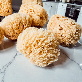 Real Dead Sea Sponge – Natural Exfoliating Bath Sponge (3–4