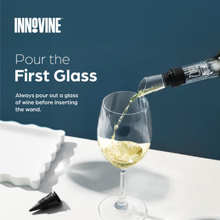 Wine Cooling Wand in Graphite