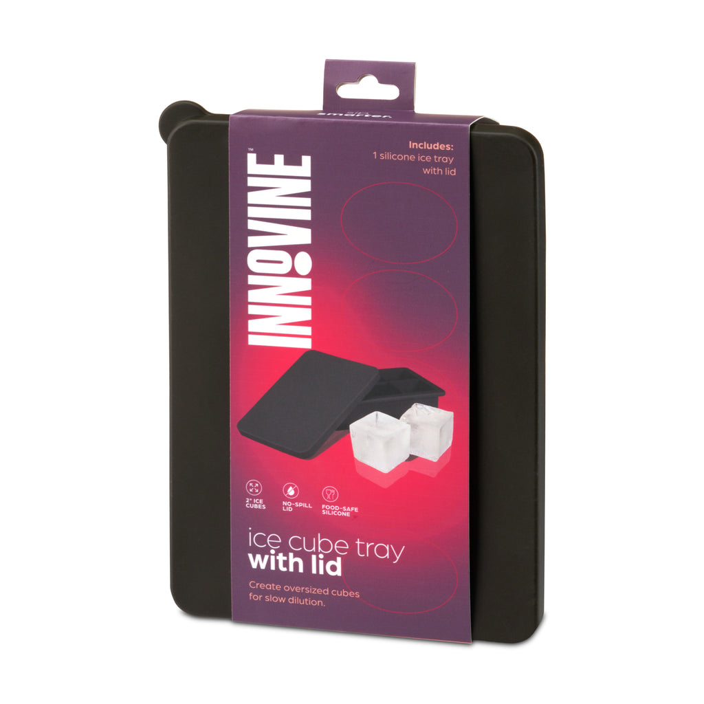 Oversized Ice Cube Tray with Lid