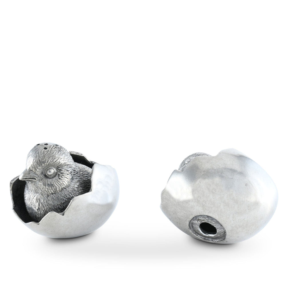 Chicks in Eggs Salt & Pepper Set