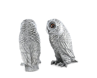 Owl Salt & Pepper Set