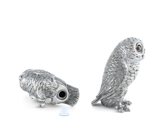 Owl Salt & Pepper Set