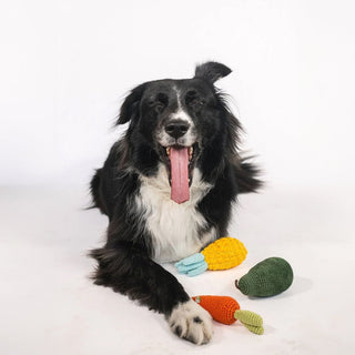 Organic Veggie Dog Toy Bundle | Carrot Pear Pineapple Set