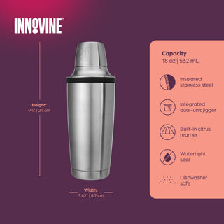 Double Walled Cocktail Shaker