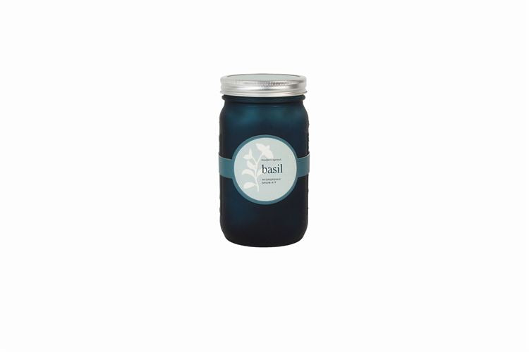 Organic Genovese Basil Hydroponic Self-watering Herb Kit in a Blue Mason Jar