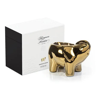 Our signature elephant ceramic vessel, designed in our NYC office, is a symbol of power and mystery. Filled with a proprietary wax blend and finished with 3 wicks, this candle is a work of art that provides a clean and long-lasting burn. The sleek elephant design adds a touch of elegance to your living room or bedroom, and the ash ember rose fragrance will transport you to a world of mystery and sophistication.