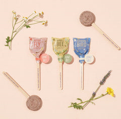 Pollinator Seed Pop - Bee, Hummingbird and Butterfly Assorted Flower Mix - Stocking Stuffers - Anara Lifestyle