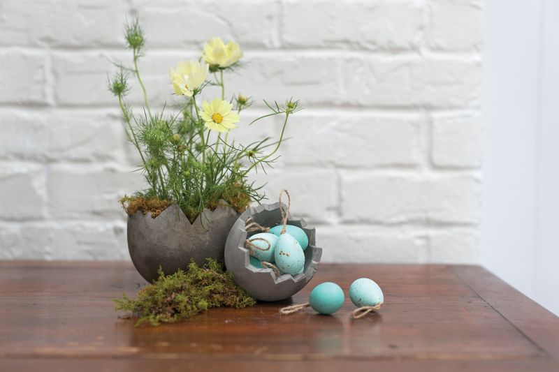 ROBIN EGGS - Anara Lifestyle