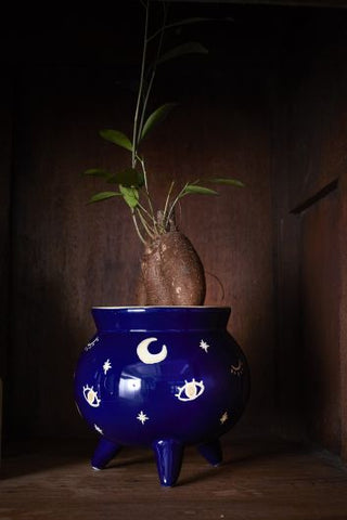 Witch's Cauldron Pot - Anara Lifestyle